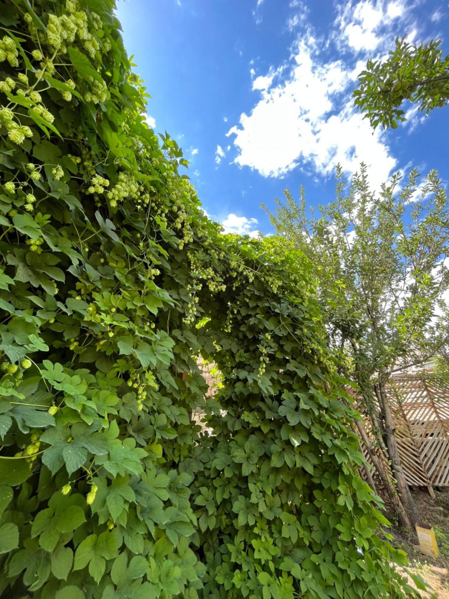 Chakzot Garden House Hotel Leh Exterior photo